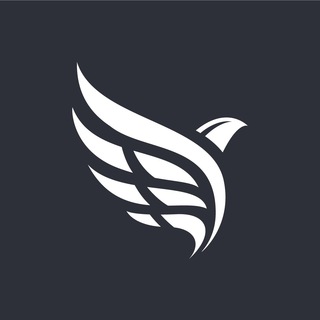 Логотип @currencypilot - Currency Pilot