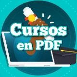 👨‍🎓Cursos en PDF 🧑‍🎓