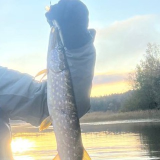 Логотип @cust_fishing - ТамУлов