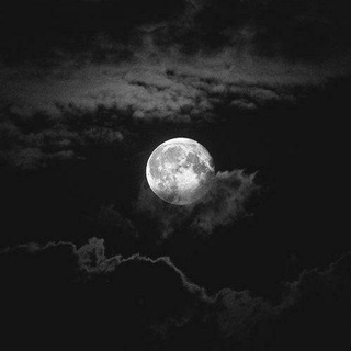 Логотип @cutaty20 - Чат/обговорення