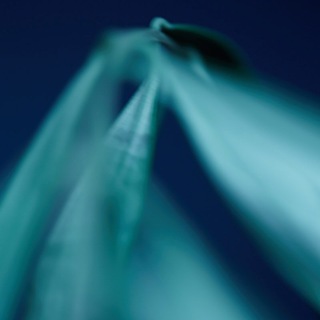 Логотип @cutblog - cut