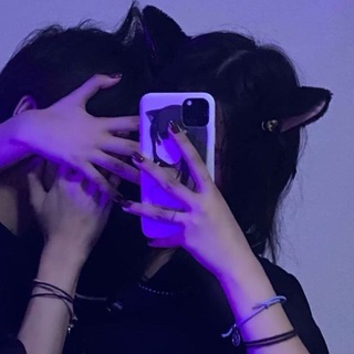 Логотип @cute2cats - Милые котики