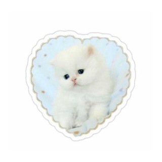 Логотип @cute_kittens_mimi - Cute kittens/Милые котятки