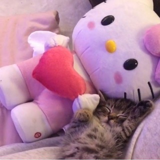 Логотип @cute_things101 - Cute linkest WB and Ali