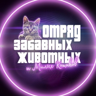 Логотип @cutekity - ОТРЯД ЗАБАВНЫХ ЖИВОТНЫХ