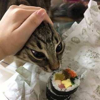 Логотип @cutekotikii - MeowMeowMeow