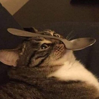 Логотип @cutepisi - Cute Pisi