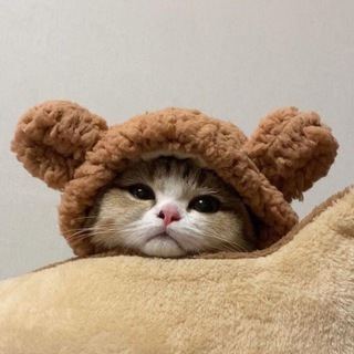 Логотип @cutescope - милый гороскоп