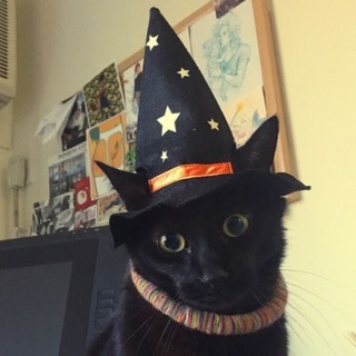 Логотип @cutikos - френдли