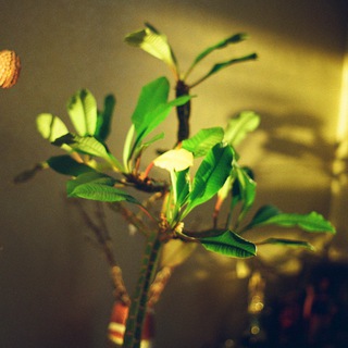 Логотип @cutso - cutso😂🧊😑