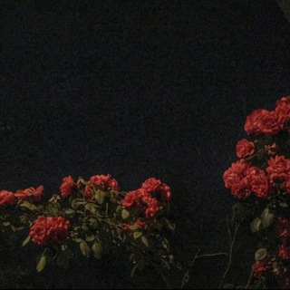 Логотип @cvelevse - 𝐂𝐯𝐞𝐥𝐞𝐯𝐬𝐞🇺🇿