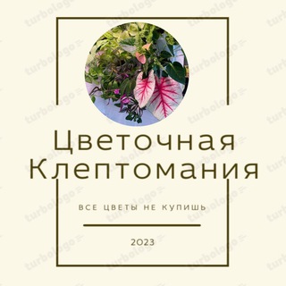 Логотип @cvetochnayakleptomaniya - ЦВЕТОЧНАЯ КЛЕПТОМАНИЯ