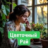 Цветочный рай 🪴