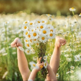 Логотип @cvety_detstva - ЦВЕТЫ ДЕТСТВА | развитие детей с любовью 🌿