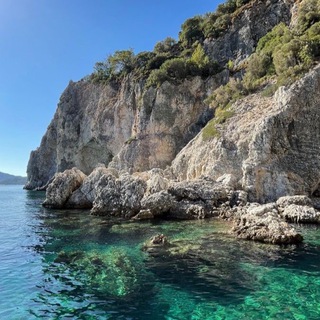 Логотип @cvmoneybet - Эгзо 💩💩