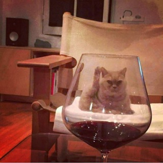 Логотип @cvshnya - Резюмешная