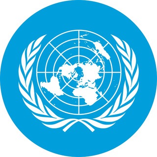 Логотип @cwmunrussia - Международные Модели ООН