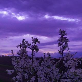 Цветной выстрел в сознание ❤️