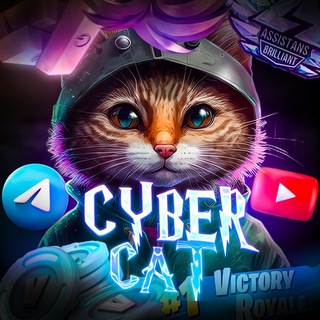 Логотип @cybercat14 - Кибер кот so2