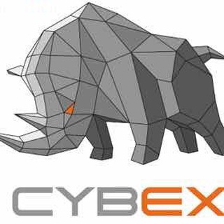 Логотип @cybexchinese - Cybex赛贝中文群