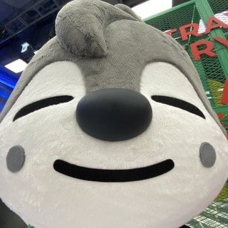 Логотип @cynidy - жизнь безденежных стенок