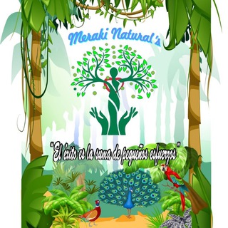 Логотип @cynthiaallauca - Meraki Natural's