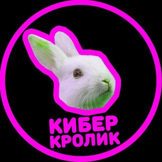 Логотип @cyrabbit - Курсы программирования - Кибер Кролик