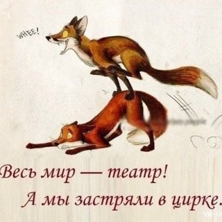 Логотип @cyrkclosed - Маркетплейсный Шапито: Наводим Порядок