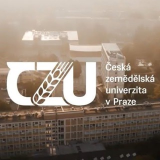 Логотип @czu_chat - ČZU | INFORMATION