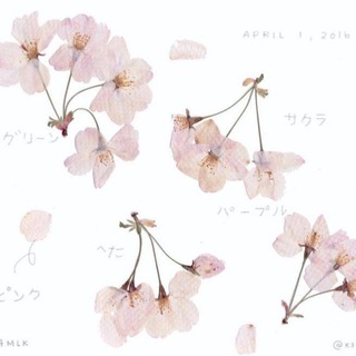 Логотип @d0rm0us3 - blooming skincare