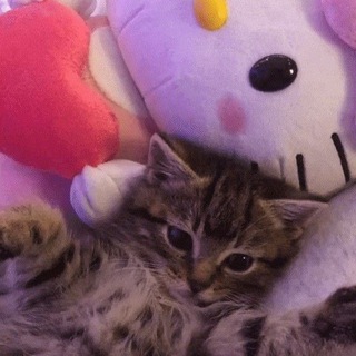 Логотип @d1vna - 𝐚𝐝𝐨𝐩𝐭-𝐦𝐦𝟐 𝐳𝐚 𝐭𝐞𝐧𝐠𝐞|𝐚𝐲𝐚