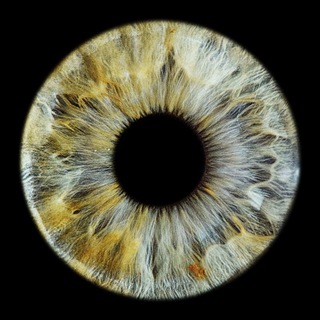 Логотип @d_koroboff - Дмитрий Коробов