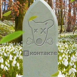 Логотип @d_pages - ☠️Мертвые страницы☠️