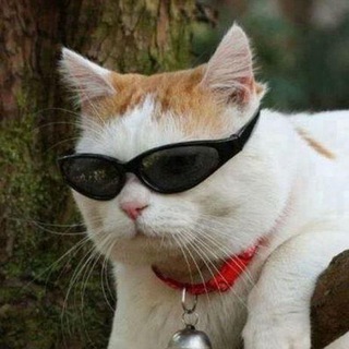 Логотип @da_eto_s - Да, это S