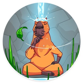 Логотип @da_shkolkovo - ДА пребудут с тобой баллы | Олимпиадная математика | Дмитрий Белов из Школково