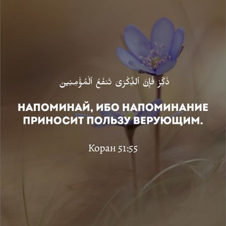 Логотип @daawat_surat - Исламские картинки