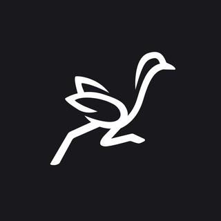 Логотип @dab_running - DAB Team