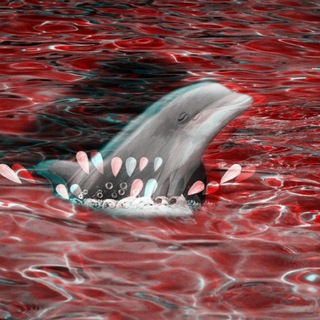 Логотип @dabydetchat - Дельфины чатик💦🐬💦