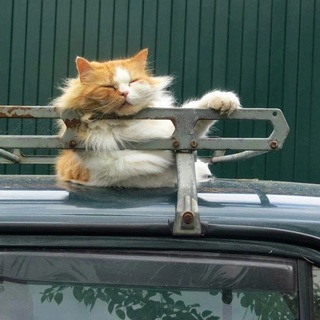 Логотип @dac4amsk - Дача в Подмосковье