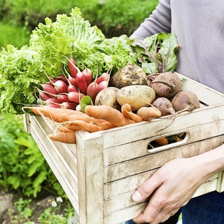 Логотип @dacha_garden_365 - Дача и огород