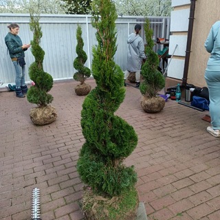 Логотип @dacha_natashi - Дача Наташи с нуля 💐