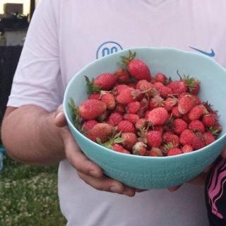 Логотип @dacha_sever - Моя дача на севере