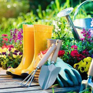 Логотип @dachadalnik - уДАЧные дела Дальнереченск 🏡 Сад. Огород. Приусадебное хозяйство.