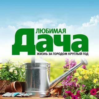 Логотип @dachauz_dachabor_uzdacha - Dachauz. Dachalar Dachabor Uzdacha dachalarkanali chimyon charvak bochka