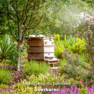 Логотип @dachnik_ogorod - Дачник на связи | Все о огороде