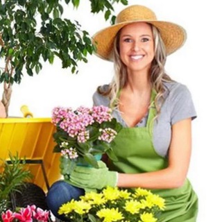 Логотип @dachnikipriangaria - Дачники Приангарья