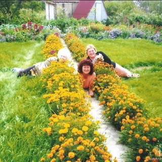 Логотип @dachnoe_schastie_khv - М-н «Дачное счастье» Хабаровск