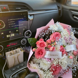 Логотип @dadasheva_li - ТЛ🌷