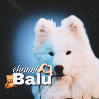 Логотип @dadsfs - ||♡𝗕𝗔𝗟𝗨♡||