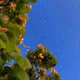 Логотип @dagadaitar - …